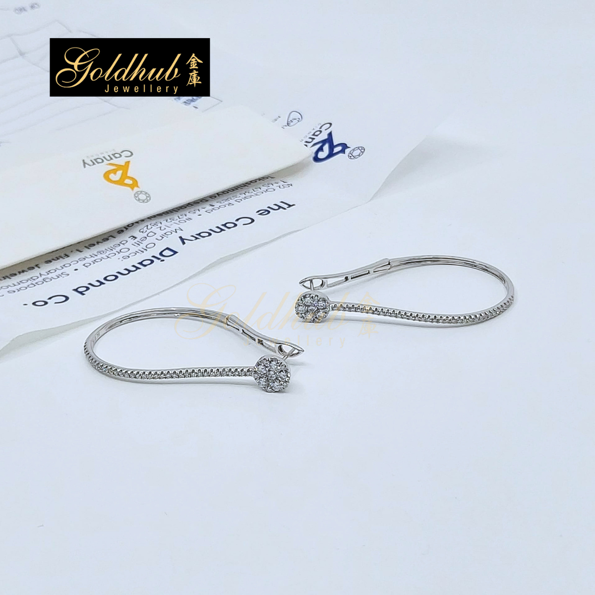 Diamonds Earrings in White Gold